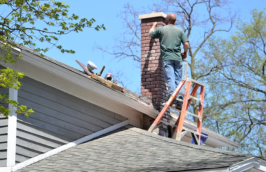 Chimney & Fireplace Inspections Services in South San Jose Hills, CA